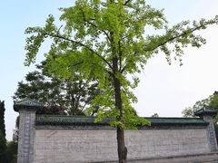 -济南大明湖景区