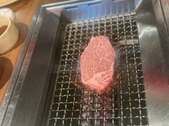 -俺的焼肉(銀座9丁目店)