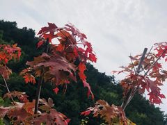 -云峰山自然风景区