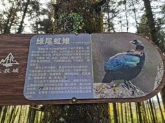 -石棉县孟获城
