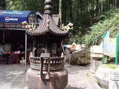 -上海佘山国家森林公园西佘山园