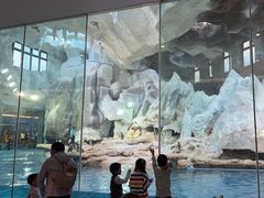 -帝企鹅自助餐厅•儿童岛•真企鹅(长隆企鹅酒店)