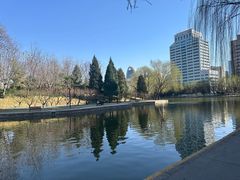 -团结湖公园