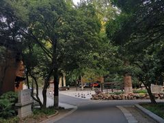 -灵谷景区