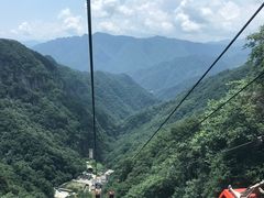 -牛背梁国家森林公园