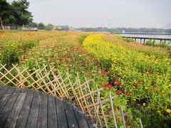 -海珠湖公园
