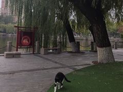 -文瀛公园