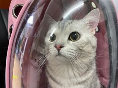 -宠颐生中康贝怡动物医院