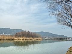 -长广溪湿地公园