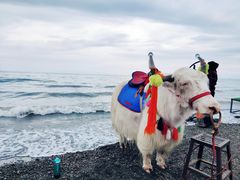-青海湖国家重点风景名胜区