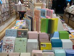 -猫的天空之城概念书店(束河店)