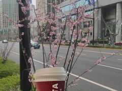 -COSTA COFFEE(上海虹口公园店)