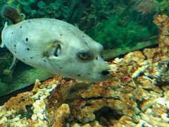 -泉州海丝野生动物世界