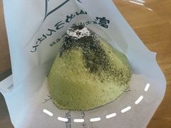 -富士山吉田線五合目