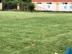 -趣玩宠物乐园寄养训犬训狗游泳池