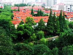 -上海市普陀区中心医院