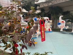 -南宫五洲植物乐园