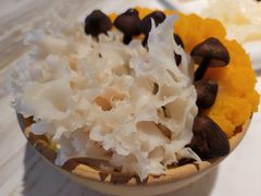 -汤城·料青山