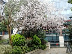-Wagas沃歌斯(正大乐城店)