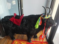 -后院犇牛主题餐厅(云岗店)