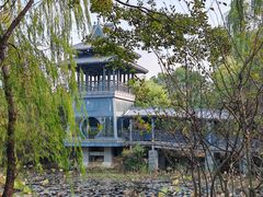 -金鸡湖桃花岛