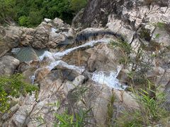 -海南霸王岭国家森林公园