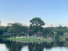 -四海公园(南山区)