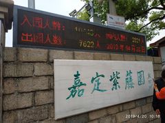 -嘉定紫藤园