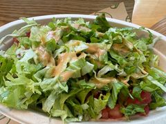 -油梨树AVOCADO TREE(望京店)