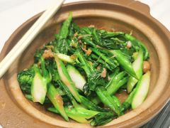 -稻香酒家·33年老字号·港式粤菜(富邦中心店)