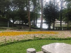 -西樵山风景名胜区-天湖公园