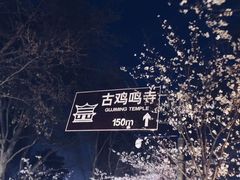 -鸡鸣赐茶(鸡鸣寺路店)