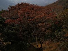 -广州市石门国家森林公园