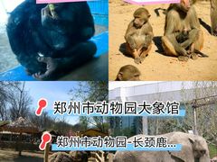 -郑州市动物园