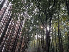 -东湖落雁景区