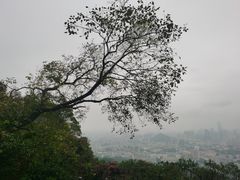 -广州市白云山风景名胜区