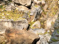 -北京上方山国家森林公园