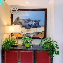 -咪咪比基尼脱毛专业店