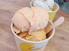 -LUNEURS月乐诗·法式冰淇淋(环贸店)