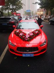 -蚂蚁婚车