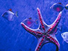 -沈阳海洋探索中心