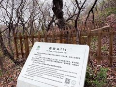 -大青沟风景区