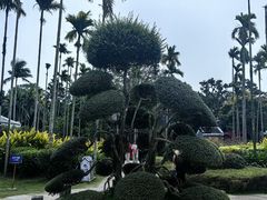 -蔡家宅
