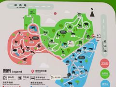 -红山森林动物园