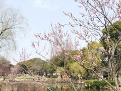 -无锡梅园公园