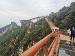 -少华山国家森林公园