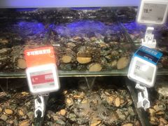 鲍鱼-盒马鲜生(岭南新世界店)
