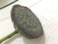 -石塘人家