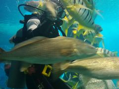 -北戴河圣蓝海洋公园