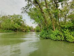 -西溪国家湿地公园